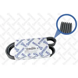 Ремень поликлиновый 6PK950 VW Golf, Audi A3, Skoda Octavia 1.9/2. STELLOX 06-00950-SX
