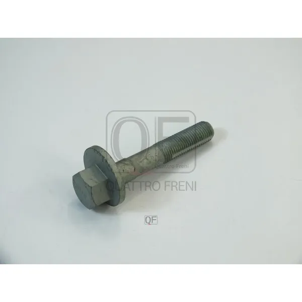 Болт эксцентрик QUATTRO FRENI QF84D00023