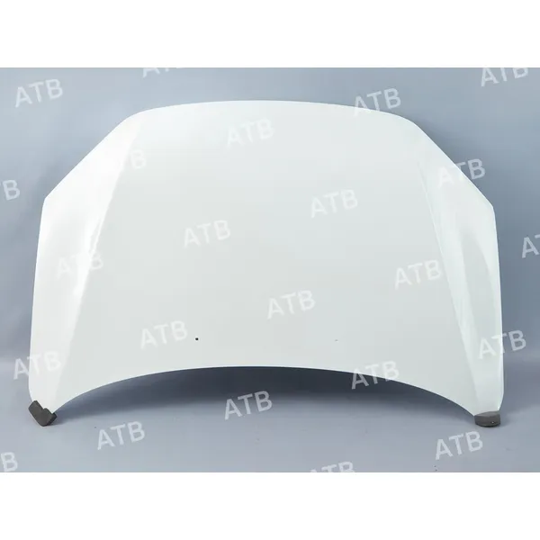 Капот ВАЗ 2190 Белое облако 240 АвтоВАЗ ATB 1AV90V020240