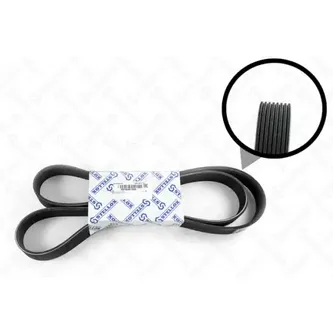 Ремень поликлиновый 8PK1600 MB Axor,RVI STELLOX 08-01600-SX