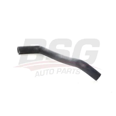 Шланг радиатора MEGANE II/SCENIC II 03- BSG BSG 75-720-111