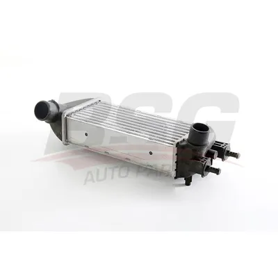 Интеркулер 500/FORD KA 08- BSG BSG 25-535-015