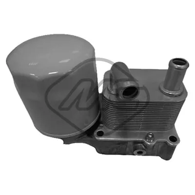 Радиатор масляный FORD FIESTA IV Metalcaucho 45096
