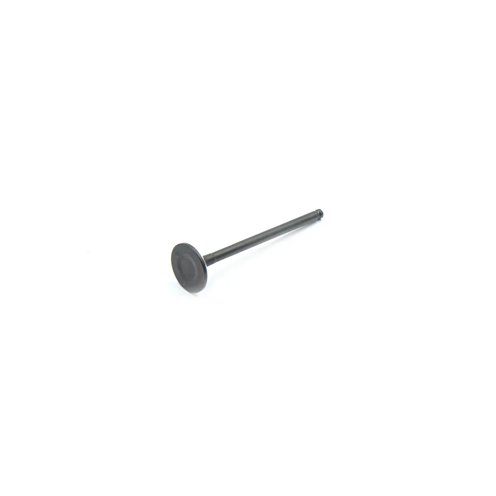 Клапан выпускной PARTS-MALL HCZB003E