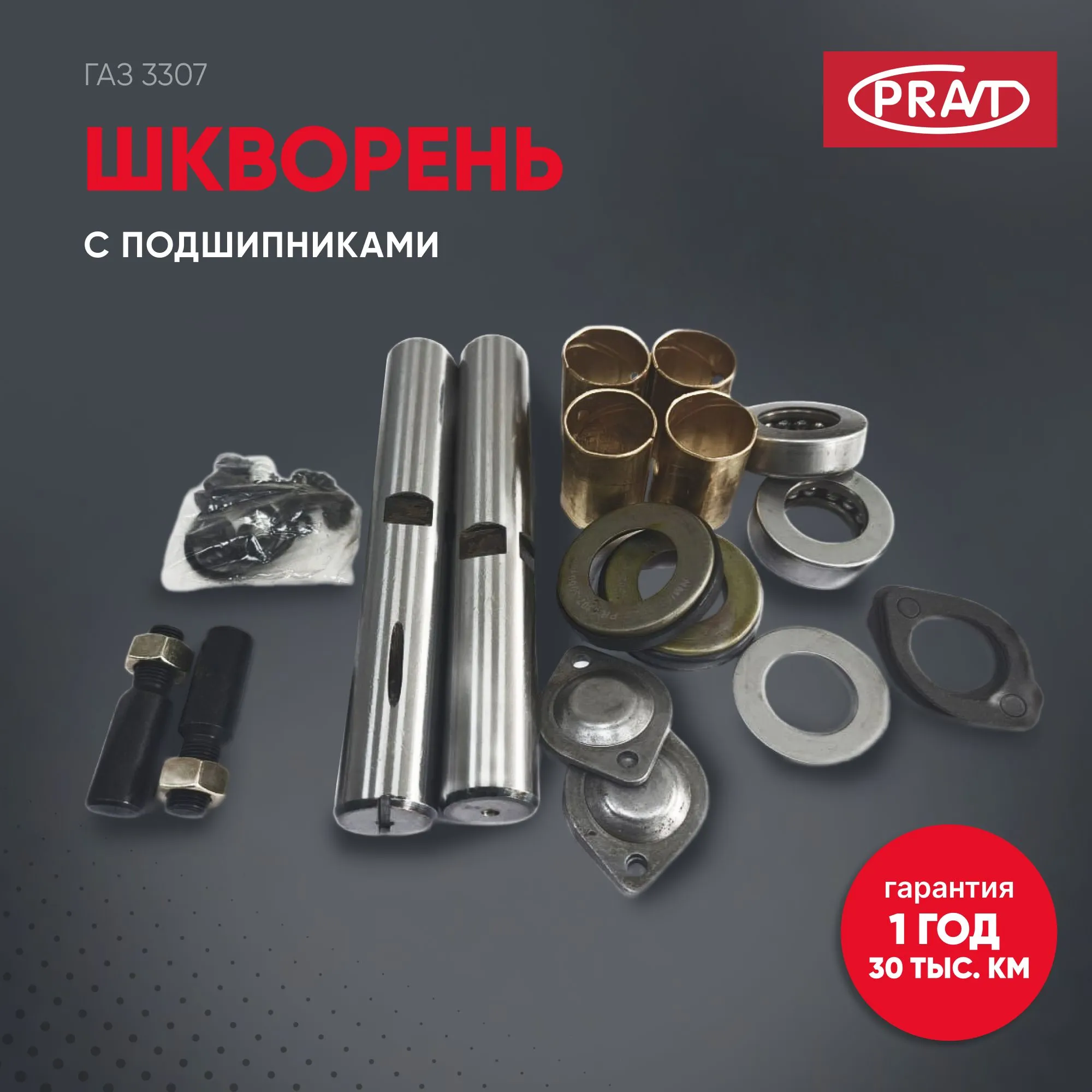 Шкворень ГАЗ-3307 в сб. с подшипниками PRAVT PR.3307-3000100