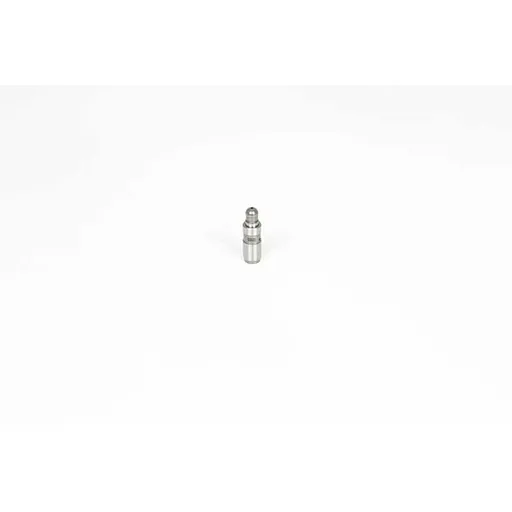 Толкатель клапана F20-F21-F30-F31-F35 MINI R55-R56-R57-R58-R59-R60-R BSG BSG 15-122-018