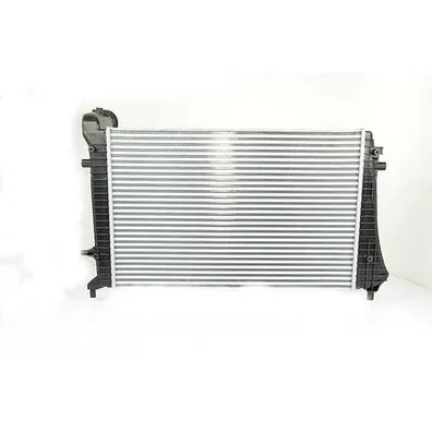 Интеркулер CADDY 04-10 BSG BSG 90-535-011