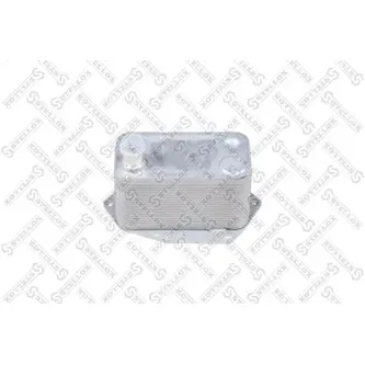 Радиатор масляный BMW E46/E39/E38/E53 2.5-3.0D 98-05 STELLOX 10-73021-SX