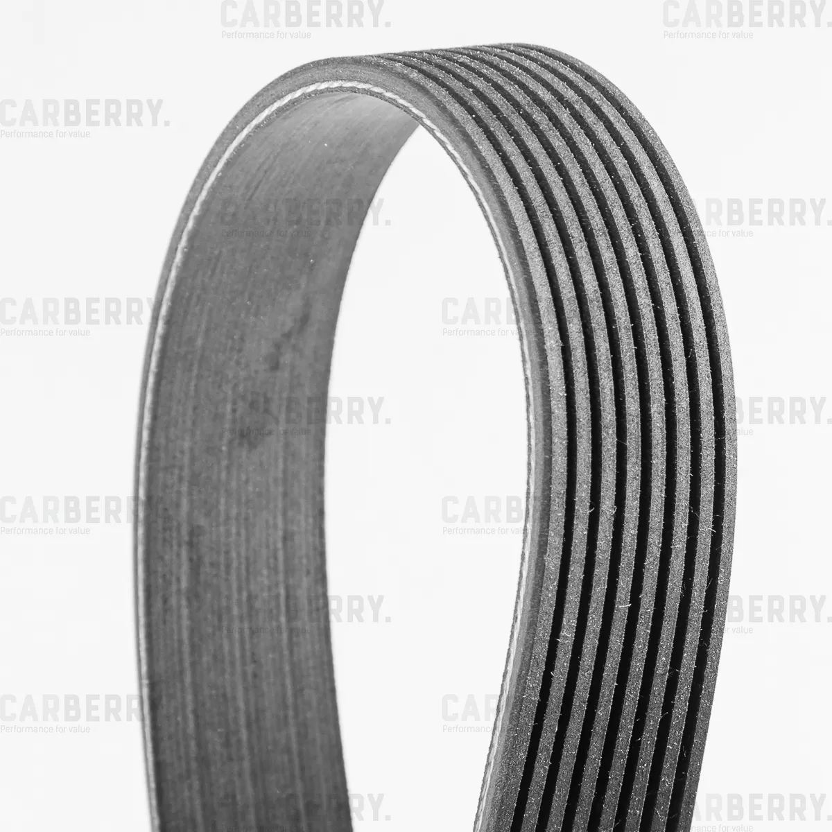 Ремень поликлиновой Universal CARBERRY 8PK2166