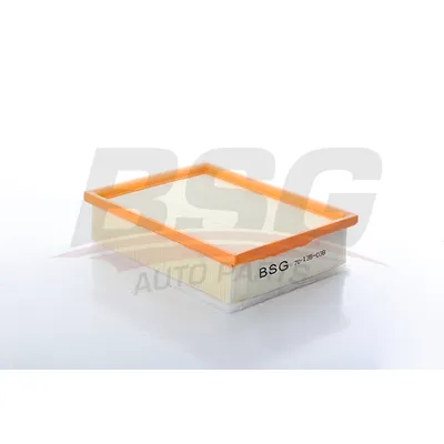Воздушный фильтр 307/C4 00- BSG BSG 70-135-038