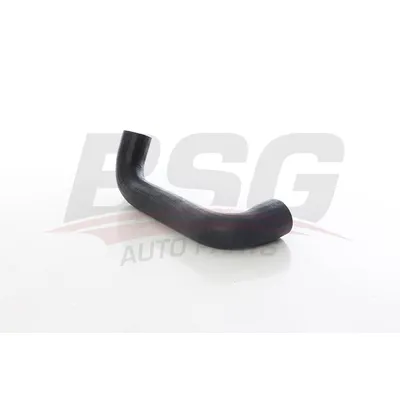 Шланг радиатора R12 71- BSG BSG 75-728-001