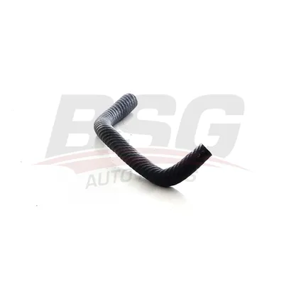Шланг, вентиляция картера R12 71- BSG BSG 75-720-090