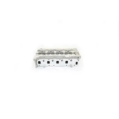 Головка блока цилиндров DOBLO/L?NEA/F?ORINO/EGEA/500/CORSA D 13- BSG BSG 25-110-001