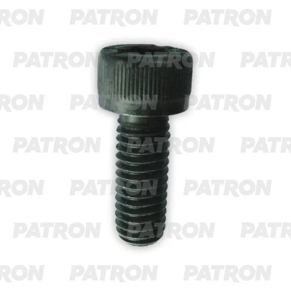 Болт металлический Имбус болт универсальный M5X25 PATRON P37-2940T