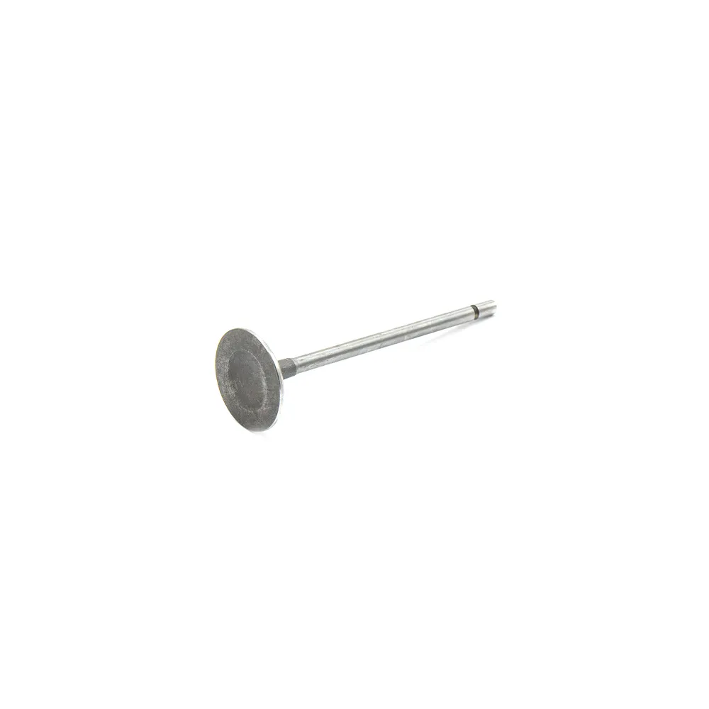 Клапан впускной RENAULT/NISSAN/OPEL LCV mot.F3R/F4R KNECHT/MAHLE 021 VE 30930 000