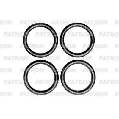 Прокладка впускного коллектора PSA/ FORD 1.4TDCI (DV4TD/ F6JA/ F6JB...) 2002> (кр PATRON PG15012