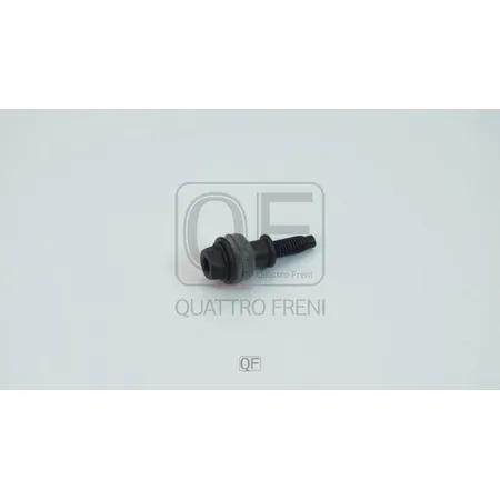 Болт крепления клапанной крышки QUATTRO FRENI QF82A00170