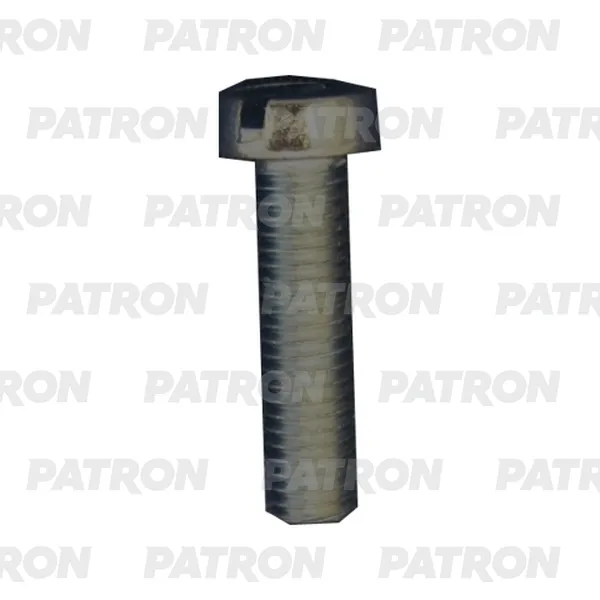 Болт металлический M5X20 PATRON P37-3205T