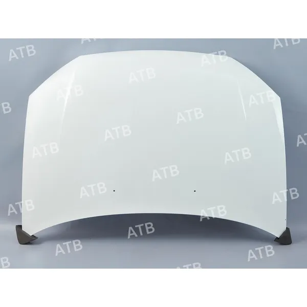 Капот ВАЗ 1118 белое облако 240 автоВАЗ ATB 1AV18V020240
