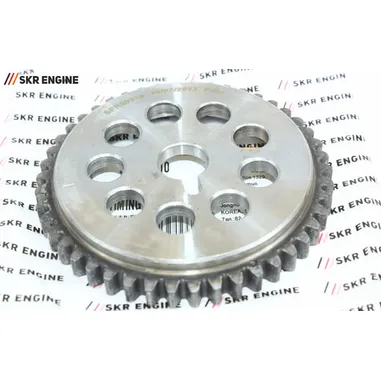 Шестерня распредвала выпускного SKR ENGINE SPR00310