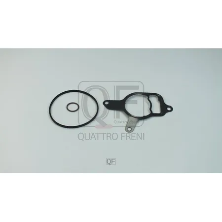 Ремкомплект вакуумного насоса QUATTRO FRENI QF34F00018