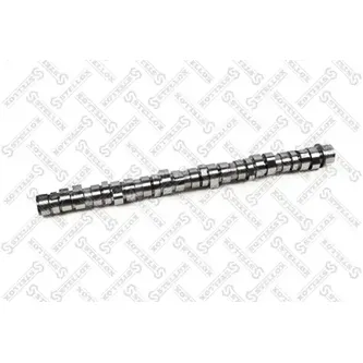 Распредвал r6 d131 Volvo FH/FM D13, RVI DXI13 STELLOX 1010137_SX