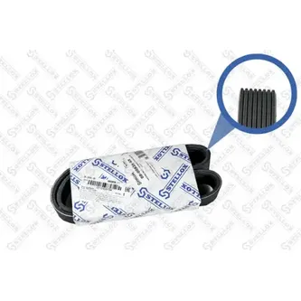 Ремень поликлиновый 8PK835 VOLVO FH12 STELLOX 08-00835-SX фото