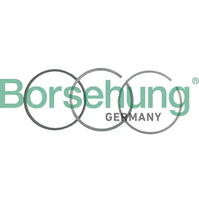 Кольца поршневые (к-т на поршень) BORSEHUNG B19039