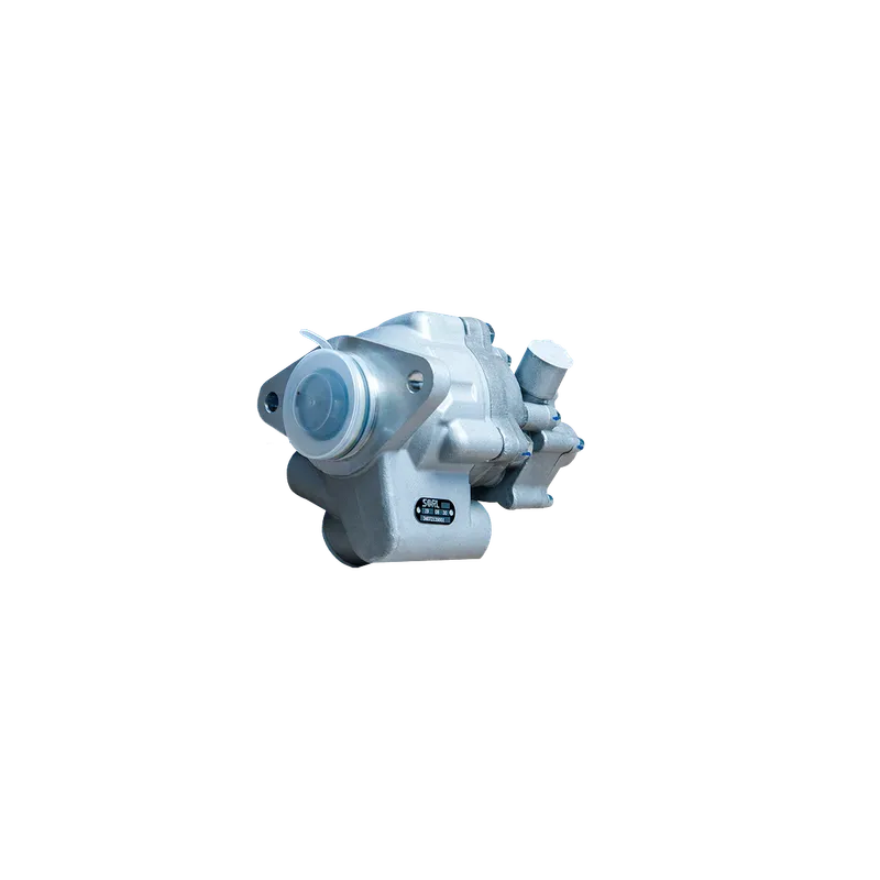 Насос гидроусилителя SORL 34072139001