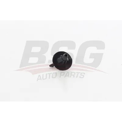 Распылитель воды для чистки, система очистки окон SPRINTER 2000-2020 BSG BSG 60-851-001