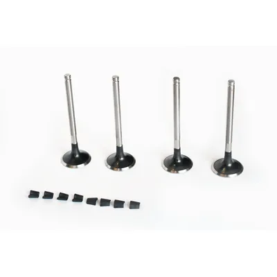 Клапан выпускной ren