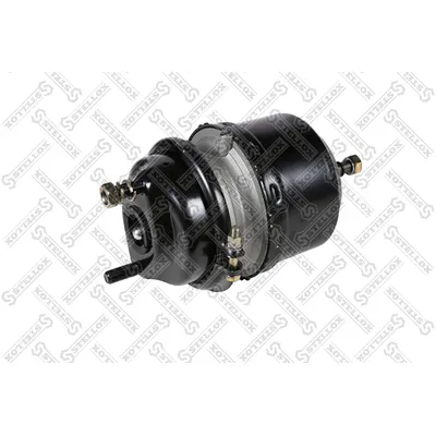 Энергоаккумулятор дискового тормоза T20/ T20/24 DISC STELLOX 8500529_SX