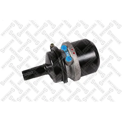 Энергоаккумулятор для барабанного тормоза Т20 Iveco/MAN STELLOX 8500553_SX