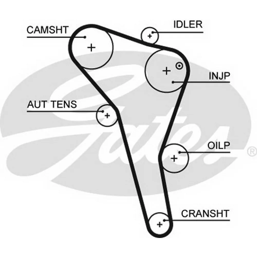 Ремень ГРМ VW/ Audi/ Seat/ Ford 1.7/1.9TDi/Sdi 95- GATES 5622XS