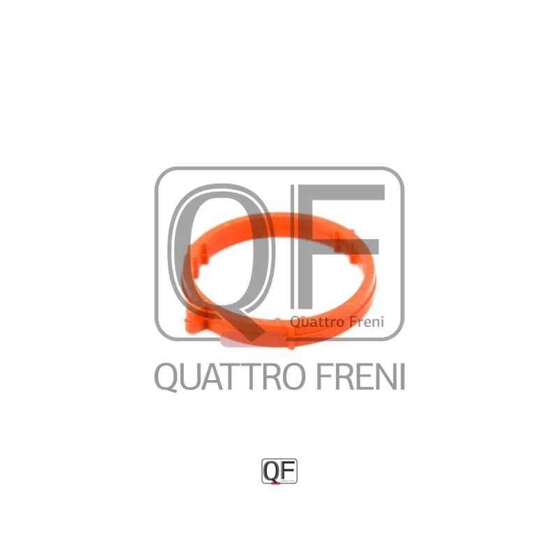 Прокладка впускного коллектора QUATTRO FRENI QF76A00025