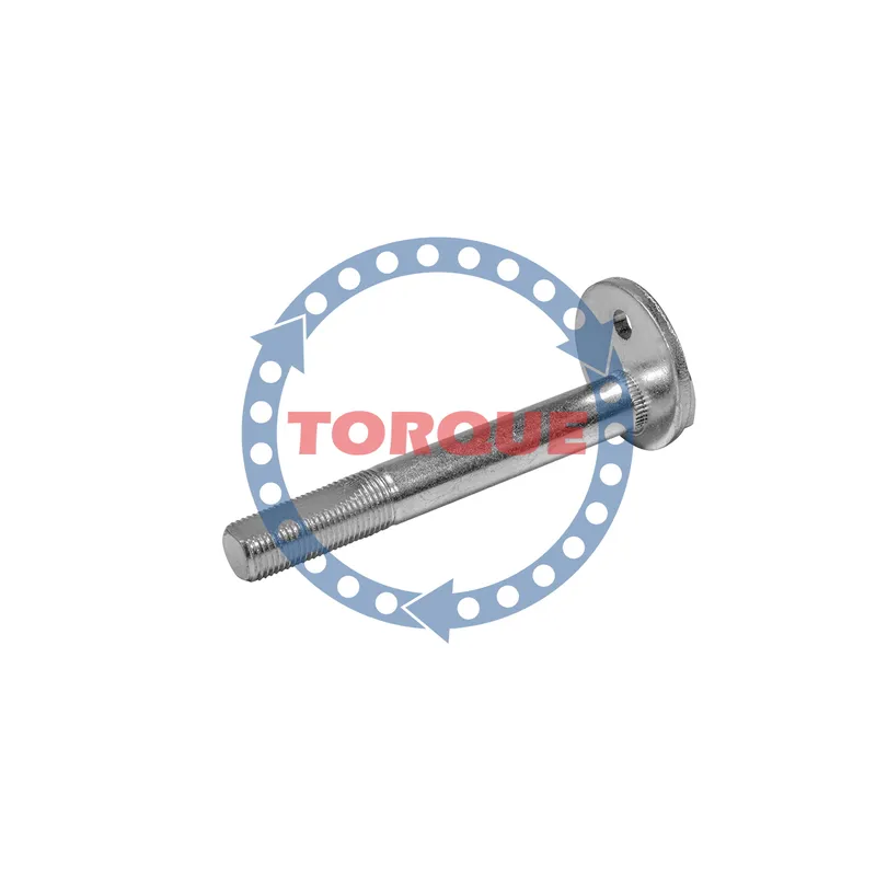 Болт эксцентриковый TORQUE CP006