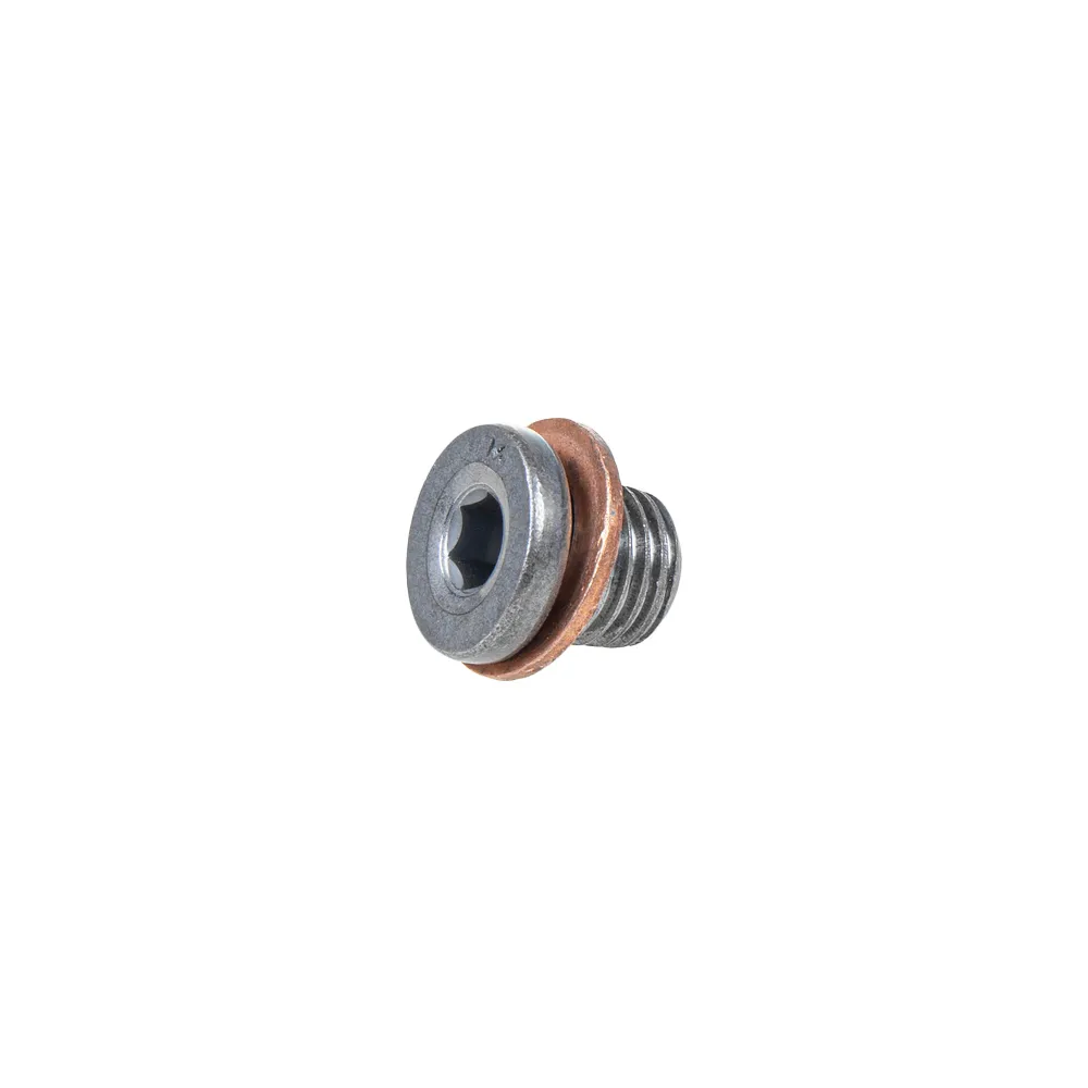Пробка резьбовая с уплотнительным кольцом AUDI/VW VAG N 90965401