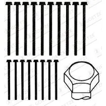К-КТ БОЛТОВ ГБЦ FRD MONDEO 2.0DITDCI 00- (18шт.) GOETZE 2218011B
