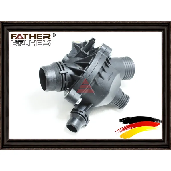Термостат в сборе FATHER F3125R70