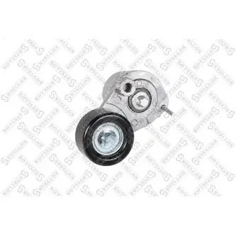 Ролик натяжной c механизмом натяжения Chevrolet Aveo T250 1.4 08> STELLOX 03-40846-SX