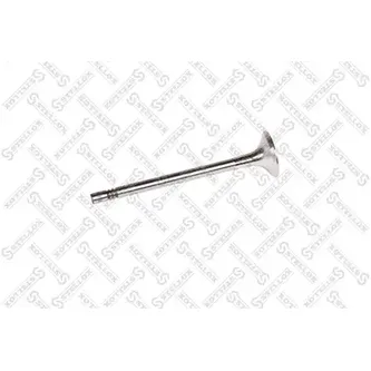 Клапан выпускной 26х5.97х99.1 Audi, VW, Skoda, Seat 2.0 TDI 05> STELLOX 01-24406-SX