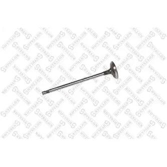 Клапан впускной 6x30.7x123.1 Renault Laguna 2.2dCi 01> STELLOX 01-24438-SX