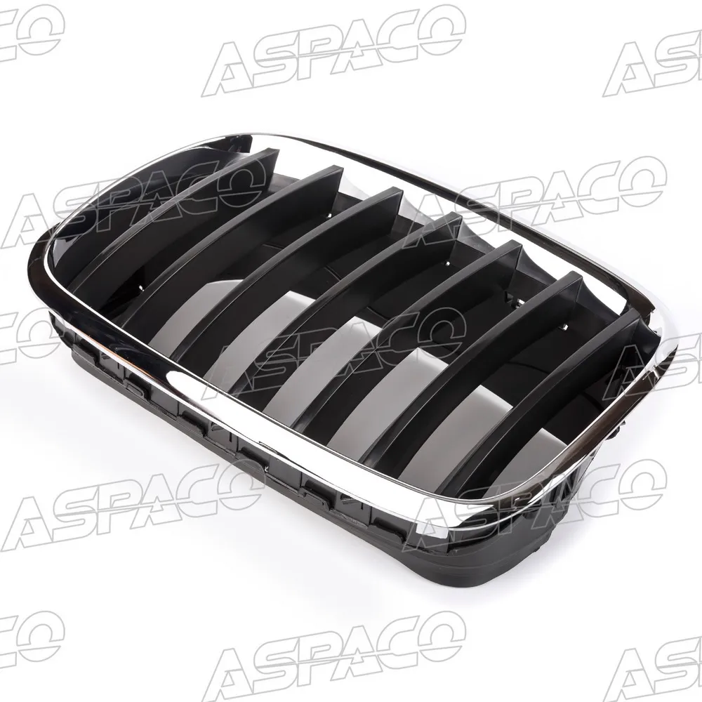 Решетка радиатора левая (L) BMW X5 E70 (07-13), X6 E71 (08-14) ASPACO AP687