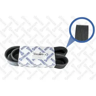Ремень поликлиновой 10PK1042 VOLVO FM10 10PK1042 STELLOX 0101042_SX