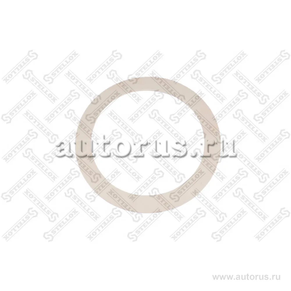 Кольцо уплотнительное пласт. 110x141x2.5 BPW,Kassbohrer STELLOX 89-01017-SX