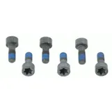 Комплект болтов маховика SACHS 1 874 000 041