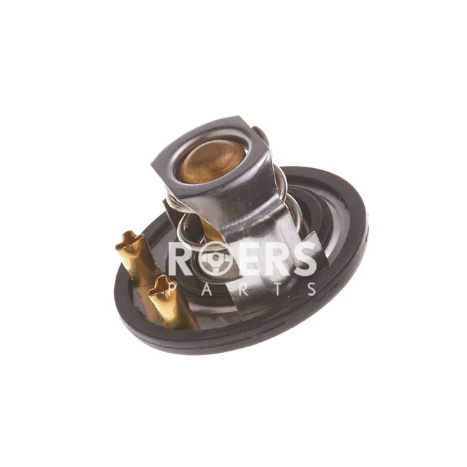 Термостат Roers Parts RP8973007872IS