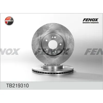 Диск тормозной передний FENOX TB219310