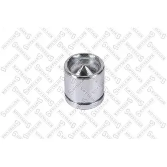 Поршень суппорта d54 ATE BMW 3 E90, Renault Megane II, VW Passat 0 STELLOX 04-98355-SX