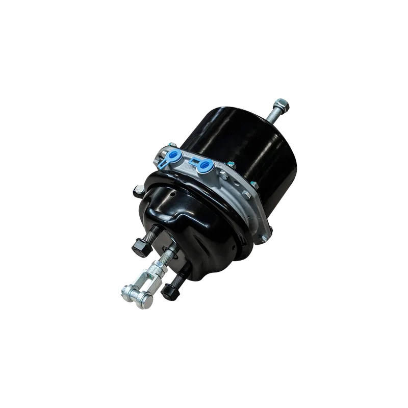 Энергоаккумулятор тип 24/24 SCANIA, VOLVO, DAF (PRO4310010) SORL 35300621940